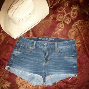American Eagle Super Stretch Denim Women's Shorts/ Shortie Sz8